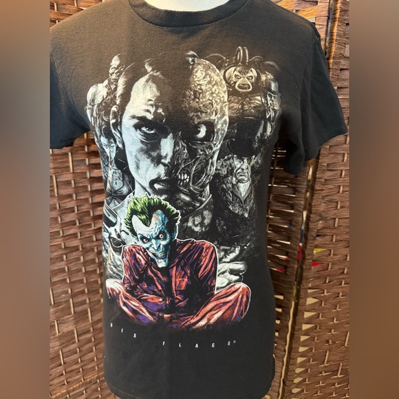 Six Flags  DC Comics Novelty Batman Tshirt Small Villain Unisex Weathered Cotton - Picture 1 of 9